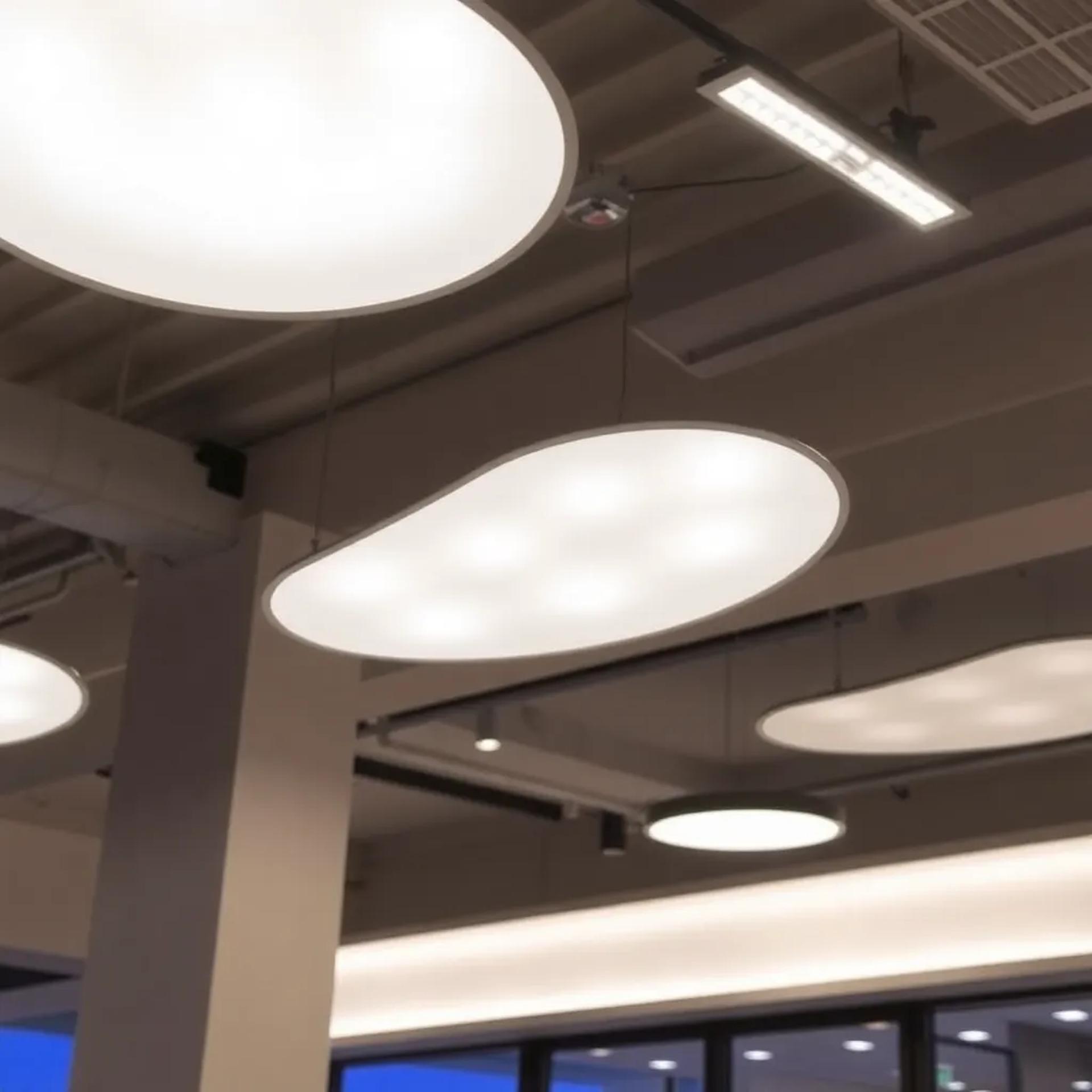 Roberto Santini, Tecnico Specializzato